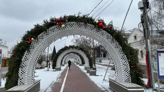 Многодетные жители Вологодской области могут поучаствовать в соцопросе 