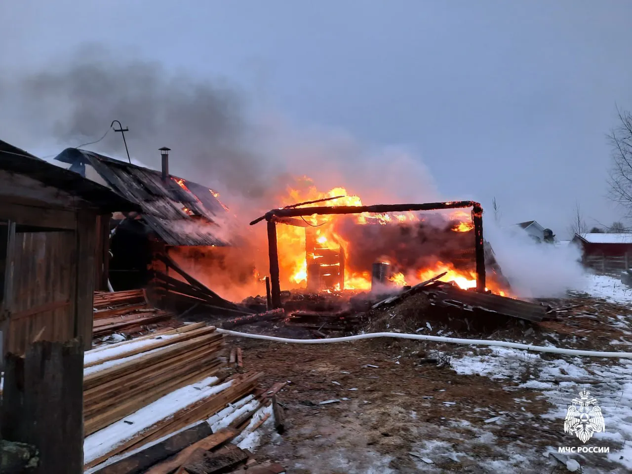 В Вологодской области в огне погибли девять домашних животных
