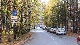 Погода в Вологодской области 15 октября улучшится: дожди ослабнут
