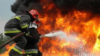 Вологодские пожарные совершили подвиг и спасли из огня двух верных четвероногих друзей