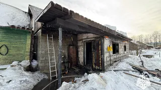 В Вологодской области семья с двумя детьми успела выбежать из горящего дома до приезда спасателей