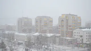 Весь март будет аномальным: синоптики озвучили обновленный прогноз погоды на начало весны