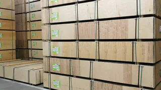 Экспорт древесины из Вологодской области в Индию увеличился на 50%