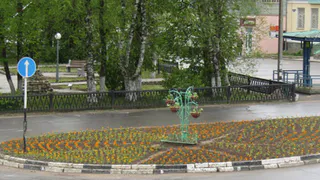 Цветники и клумбы готовят к зиме в Вологде