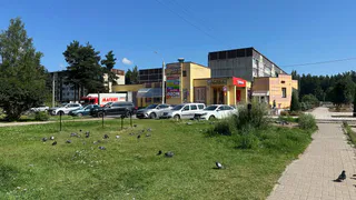 Подруга-продавец показала 4 ловушки для покупателей в "Магните" — и вот как обходить их стороной