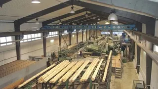 Экспорт вологодских лесоматериалов в Турцию вырос на 23%
