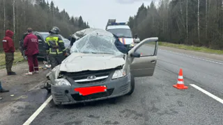 Два человека погибли в лобовом столкновении в Вологодской области на трассе Москва – Архангельск