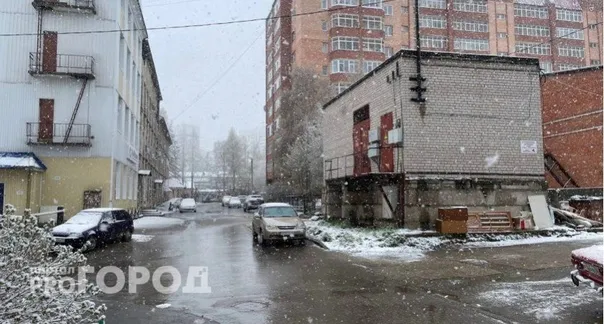 Черемуховые заморозки ударят по России: подготовьте урожай к надвигающейся беде