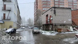 Черемуховые заморозки ударят по России: подготовьте урожай к надвигающейся беде