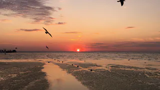 Теперь жалею, что не посещала Азовское море раньше. Обзор пляжа поселка Кучугуры