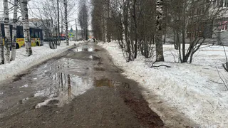 В апреле ударят -33 градуса: Вильфанд представил новый прогноз - готовьтесь к худшему