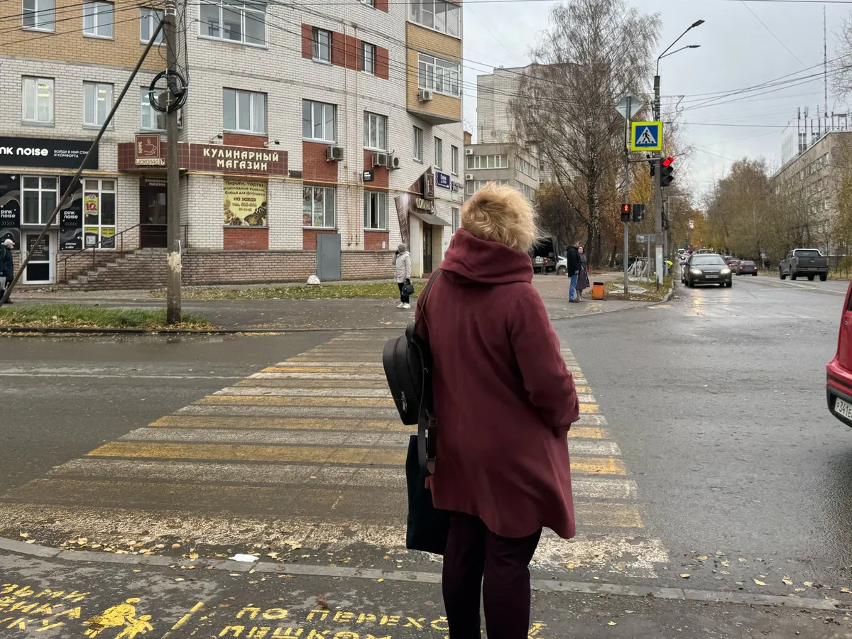 Дожди и ветер ожидаются в Вологодской области 11 октября