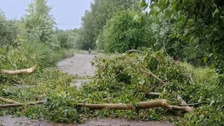 Георгий Филимонов поручил оперативно восстановить электроснабжение после урагана