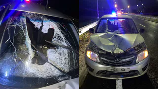 Пенсионер погиб под колесами автомобиля в Вологодской области