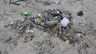 «Море грязное, люди мерзкие»: честный отзыв туриста об отпуске на черноморских пляжах