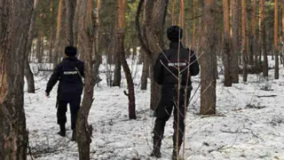 В Вологде найден мужчина, который пропал в лесу