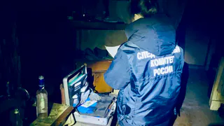 Жителя Вологодской области приговорили к 7 годам колонии за убийство поленом