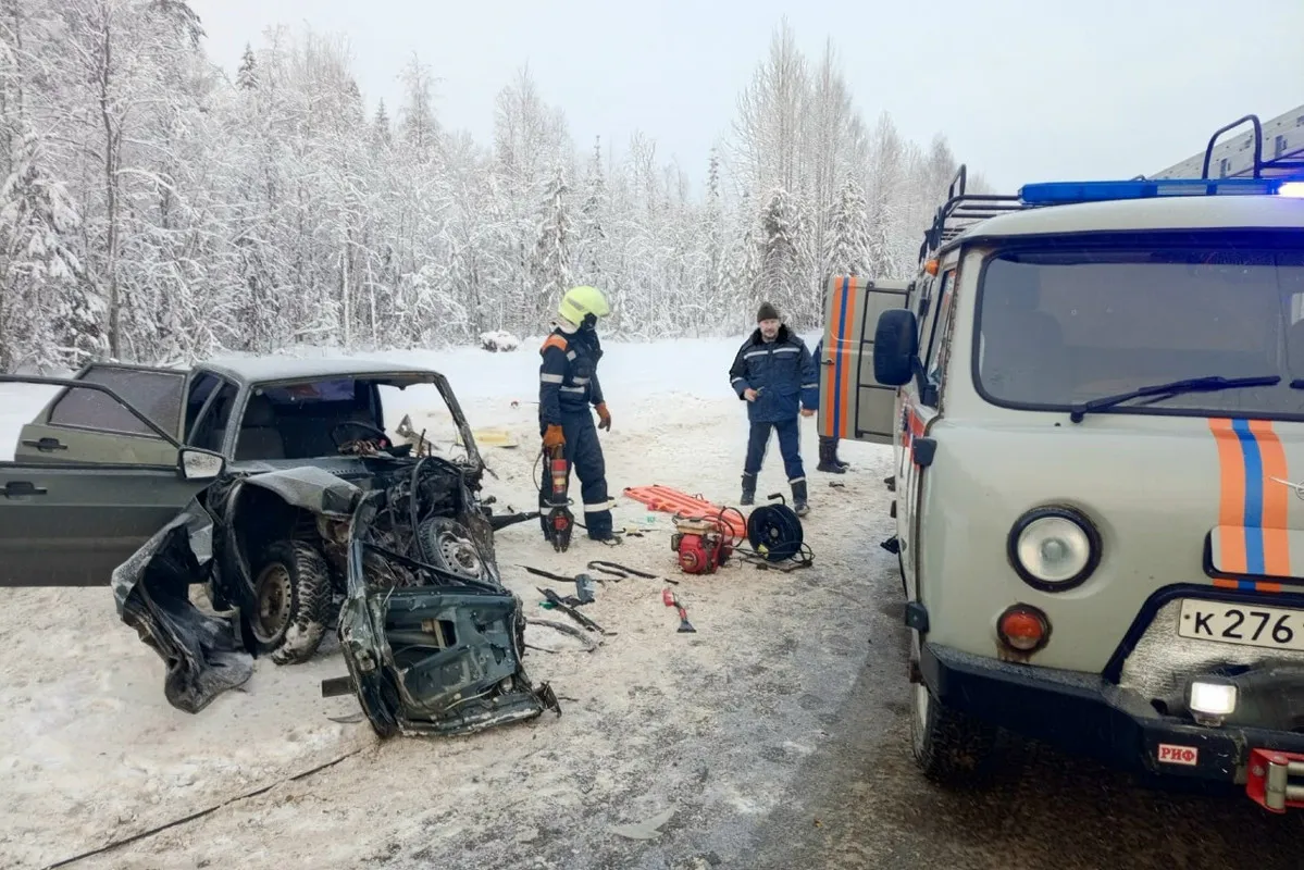 В Вологодской области в лобовом ДТП пострадали четверо детей