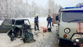 В Вологодской области в лобовом ДТП пострадали четверо детей