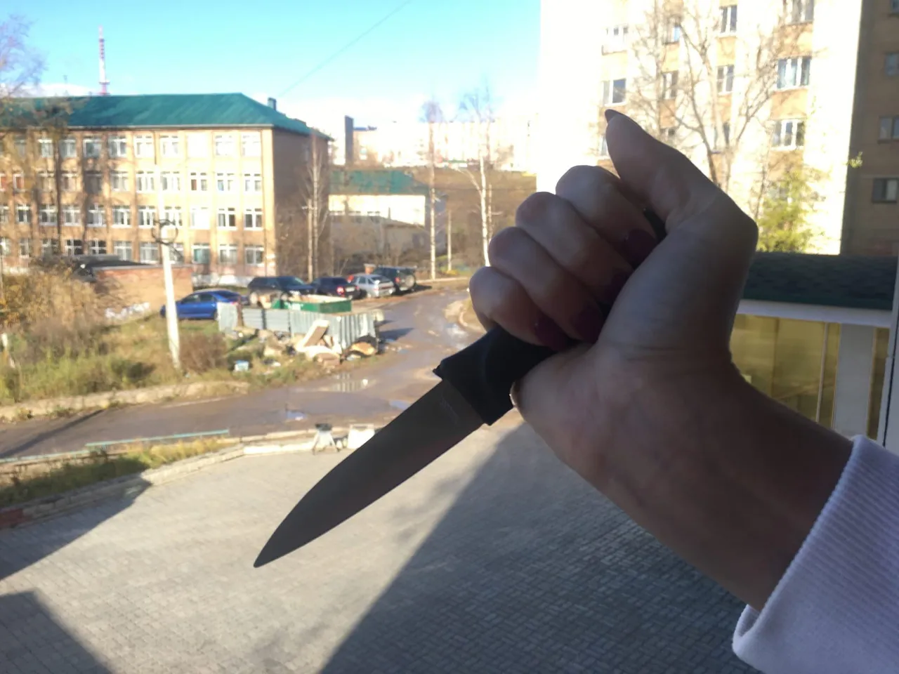 В Соколе тридцатилетняя женщина осуждена за убийство брата