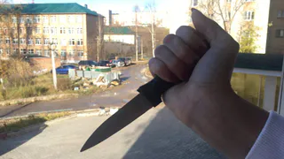 В Соколе тридцатилетняя женщина осуждена за убийство брата