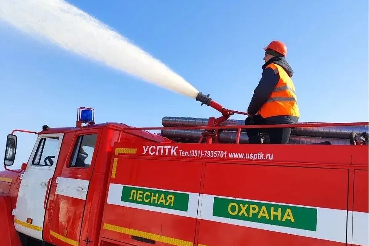 От 55 тысяч рублей и выше: специалисты Вологодской области из сферы лесной охраны получили финансовые гарантии от главы региона