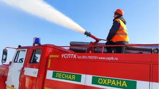 От 55 тысяч рублей и выше: специалисты Вологодской области из сферы лесной охраны получили финансовые гарантии от главы региона