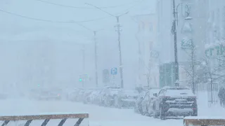 Начало рабочей недели в Вологодской области будет морозным и туманным: прогноз погоды на 9 февраля