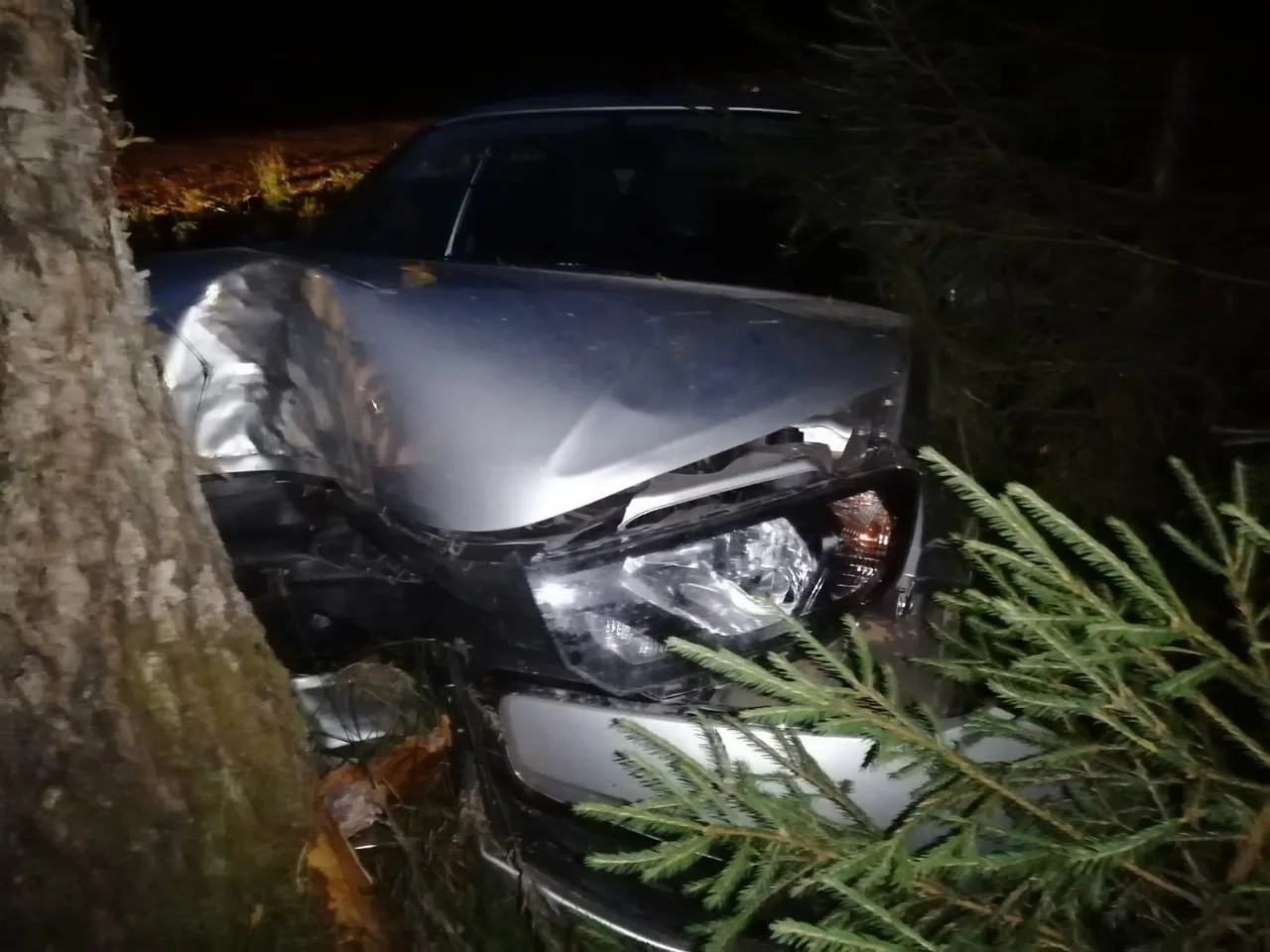 В Вологодской области Лада съехала в кювет: пострадали три человека