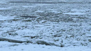 В Вологодской области зафиксировали гибель человека на реке Сухона