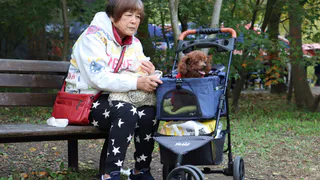 Трудовой стаж пересчитают: в июне пенсии будут рассчитаны с применением других правил