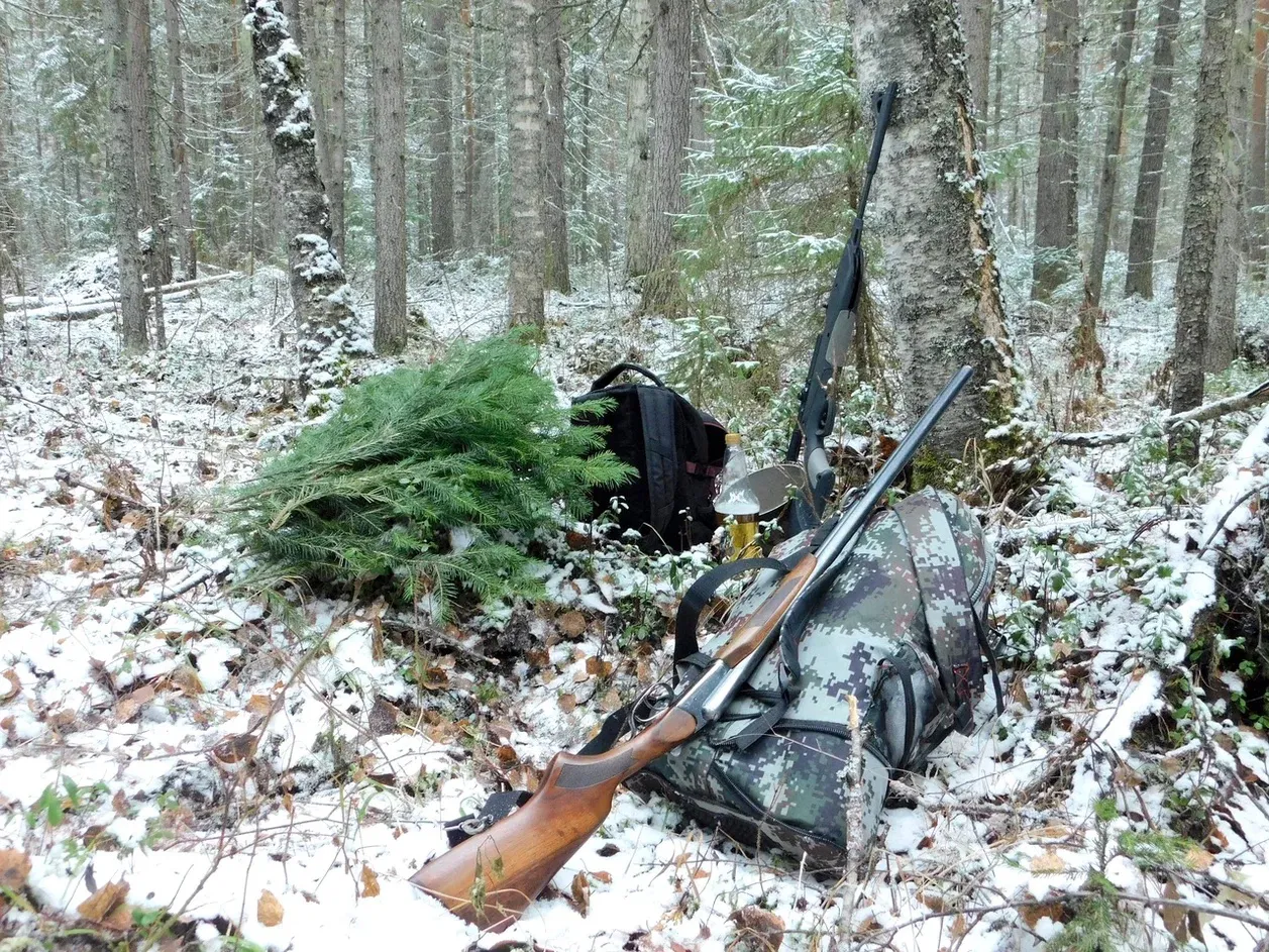 В Вологодской области охотившийся на волков пенсионер убил местного жителя