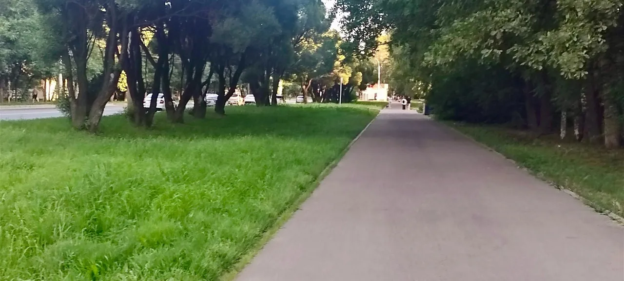Ремонт 35 тротуаров завершён в Вологде