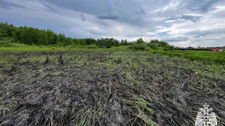 В Вологодской области ликвидировали крупное возгорание сухой травы