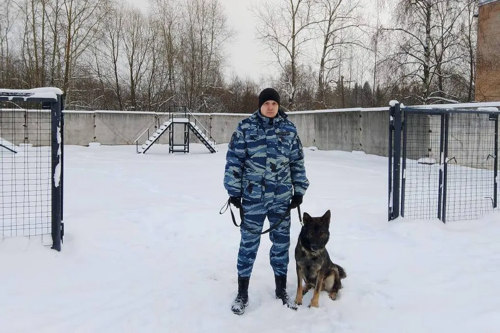 В Вологодской области кинолог с овчаркой за сутки нашли троих пропавших детей