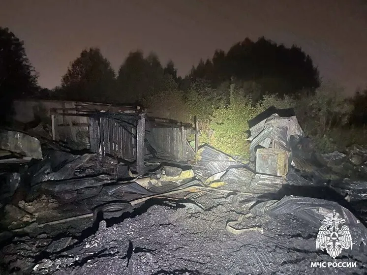 В Вологде ночью 22 специалиста тушили мощный пожар