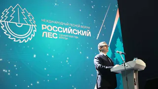 Юбилейный международный форум и выставка "Российский лес" открылись в Вологде