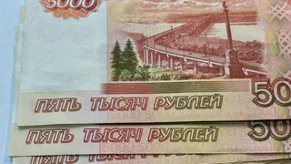 В Вологодской области восьмилетняя девочка перевела мошенникам 143 тысячи рублей после просмотра видео в соцсети