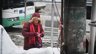 Зима-2026 будет безжалостна: синоптики призвали дачников и пожилых готовиться к возможным аномалиям - суровый прогноз