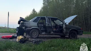 В Вологодской области разыскивается хозяин сожженной "Лады"