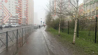 Снега не будет вовсе: Роман Вильфанд расстроил прогнозом жителей Центральной России