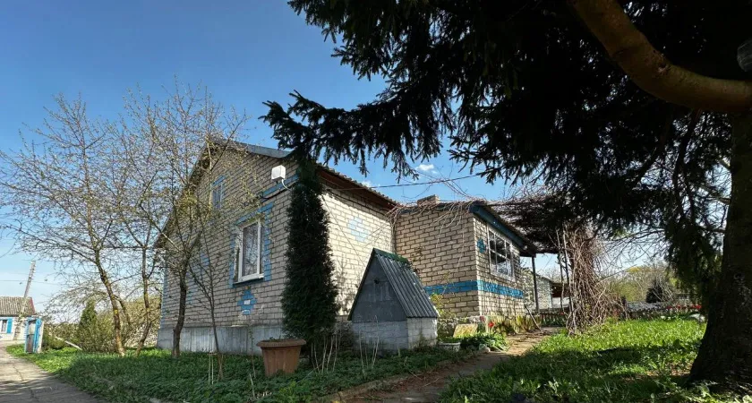 Когда дерево на даче можно убрать без штрафа
