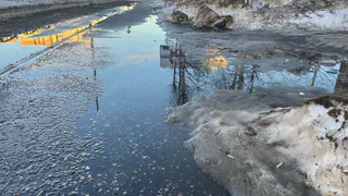 Погода в Вологодской области обещает быть облачной, но без серьёзных осадков