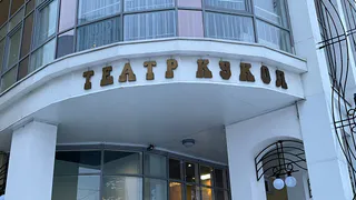 Кукловоды Вологодской области покорили Москву на фестивале "Первые шаги"