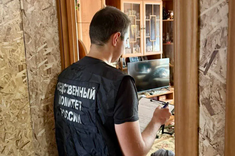 В Вологодской области пьяный пенсионер зарезал сожительницу и ранил соседа