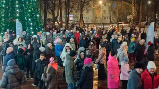 На первую новогоднюю дискотеку в парке Вологды пришли полтысячи гостей