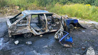 В Вологодской области среди бела дня сожгли автомобиль