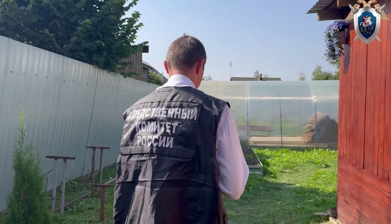 В Вологодской области совершено жестокое тройное убийство