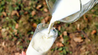 Как выбрать натуральное молоко и избежать фальсификата на полках магазинов