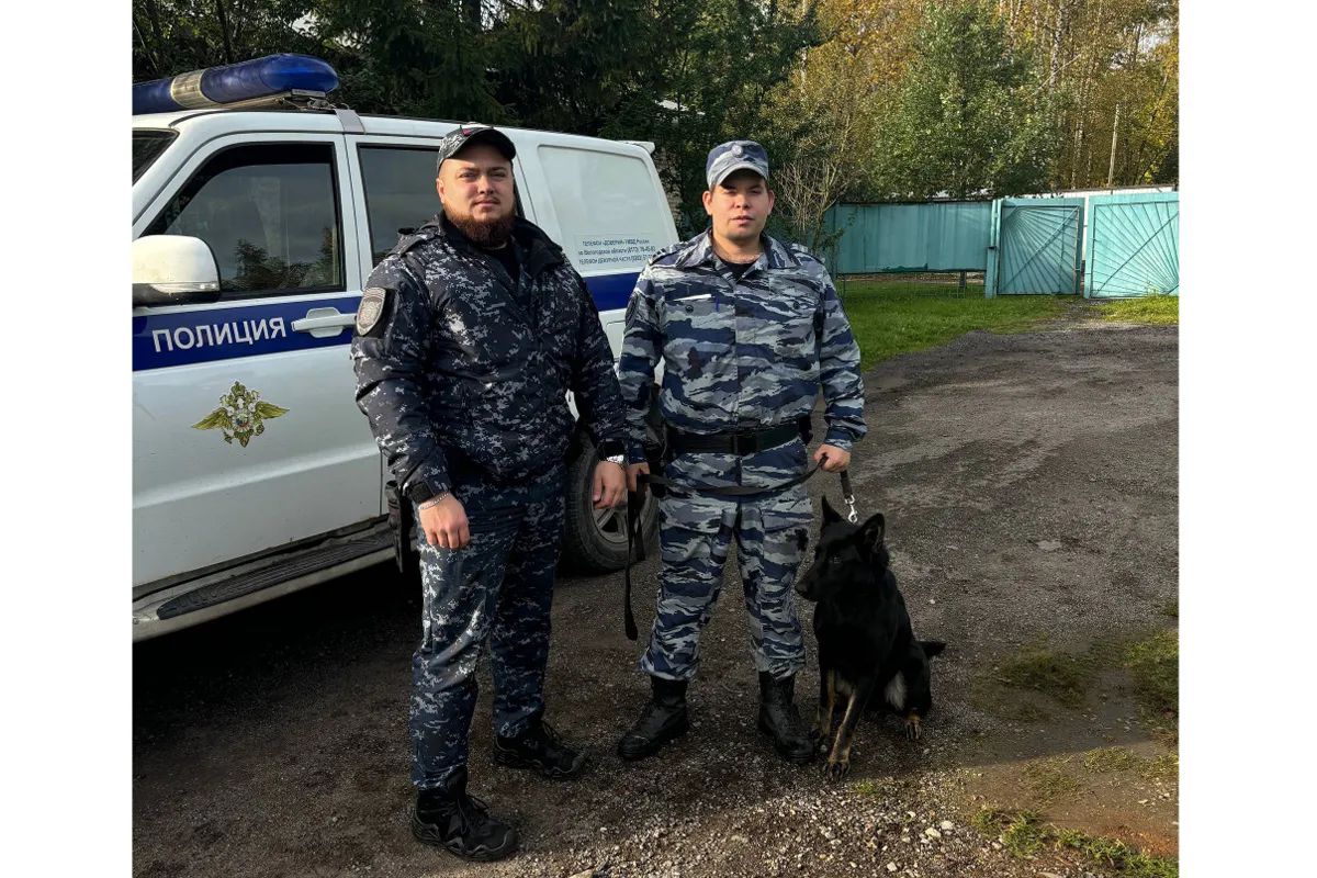 Немецкая овчарка Нубира выследила грабителя магазина в Вологодской области